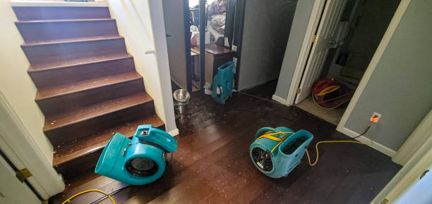 Best Water damage restoration near me  in Surf City, NJ