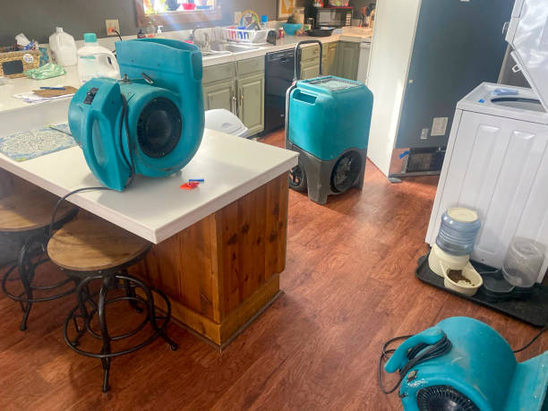 Best 24/7 water damage repair  in Surf City, NJ