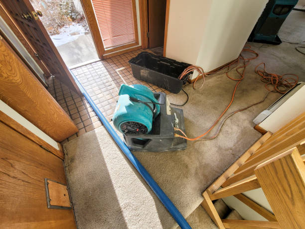Best Commercial water damage restoration  in Surf City, NJ