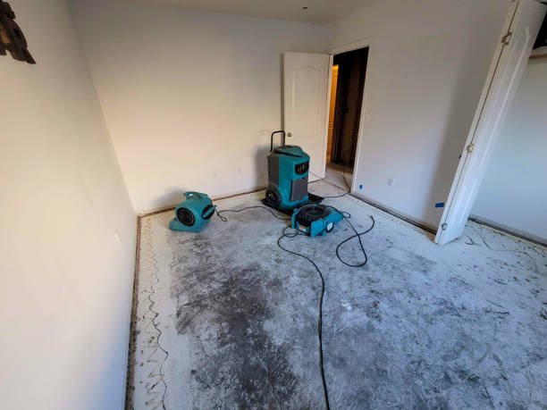 Best Fire Damage Restoration  in Surf City, NJ
