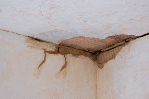 Best Flood restoration services  in Surf City, NJ