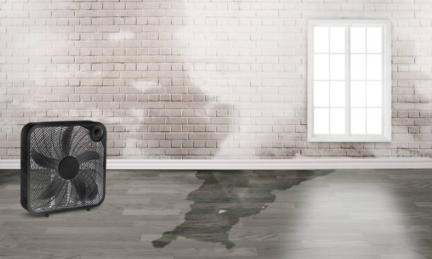 Water damage restoration process in Surf City, NJ