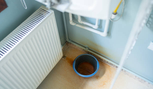 Best Carpet water damage restoration  in Surf City, NJ