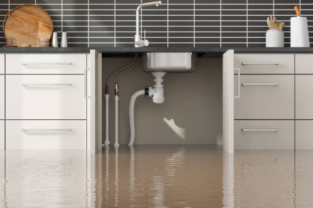 Best Ceiling water damage repair  in Surf City, NJ
