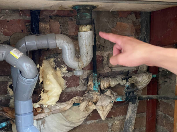 Best Professional water damage repair  in Surf City, NJ