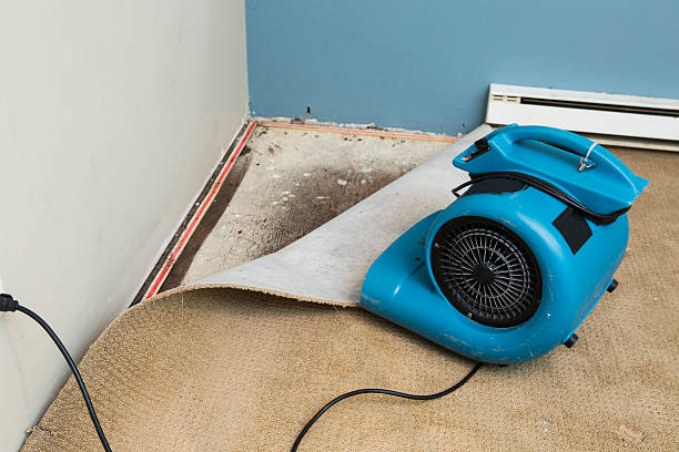 Reliable Surf City, NJ Water damage restoration Solutions